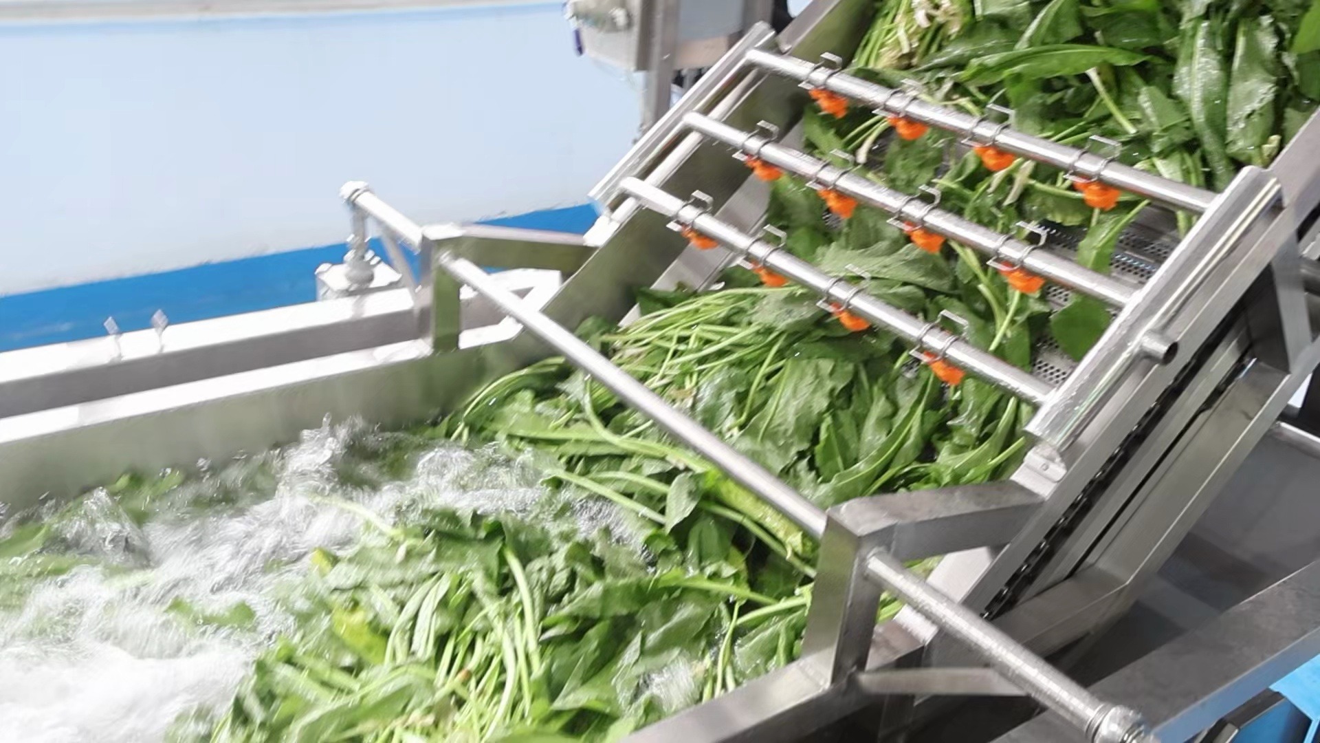 果蔬清洗生產(chǎn)線在食品行業(yè)中的重要地位?