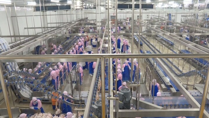 雞肉脆片生產(chǎn)線的運(yùn)作：雞胸肉-雞肉脆片的全過(guò)程詳解！