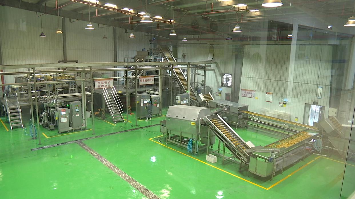 水城區(qū)：企業(yè)“鎖鮮”壓榨生產(chǎn)忙，精深加工助力刺梨“身價倍增”(圖3)