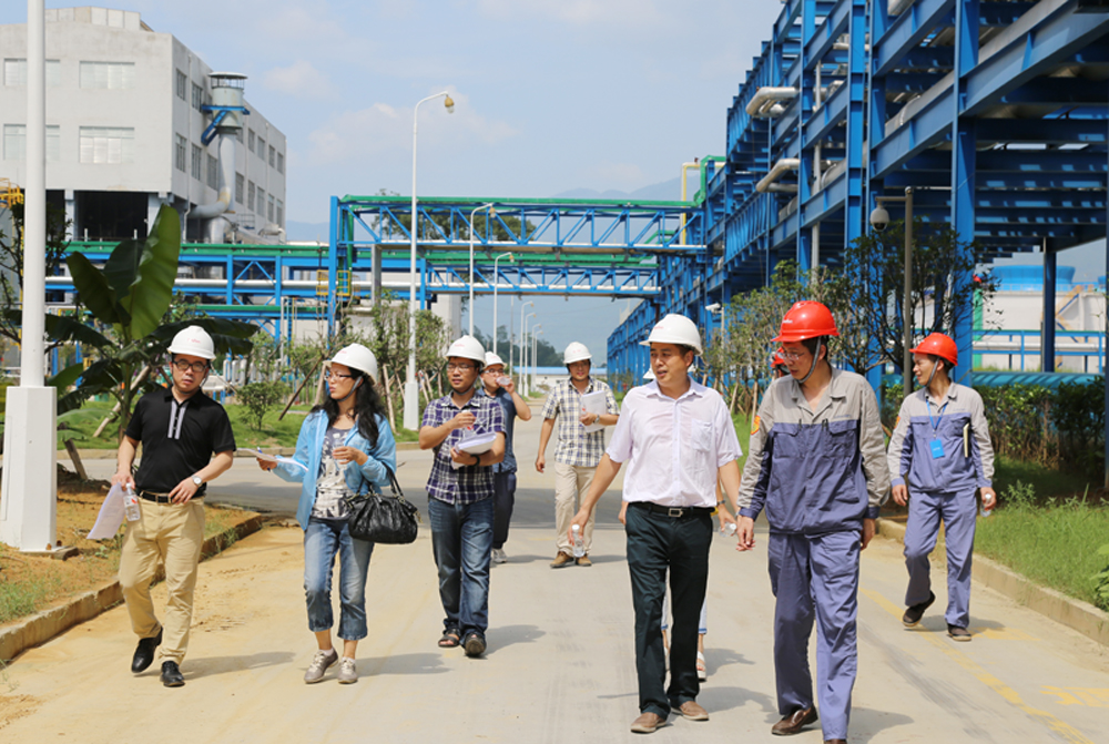 大型全自動(dòng)凈菜加工流水線整個(gè)流程和規(guī)劃方案到廠房驗(yàn)收 (圖21)