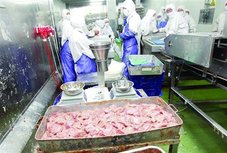 斬拌機(jī)可以涉及到的生產(chǎn)線有多少種？各生產(chǎn)產(chǎn)品是什么？(圖1)